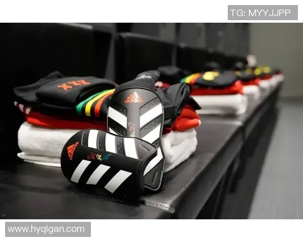 阿贾克斯与热刺比赛支持率分析及球迷观点探讨